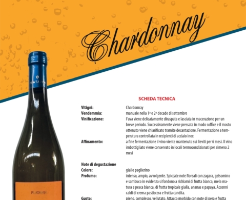 Chardonnay